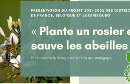 PLANTE UN ROSIER ET SAUVE LES ABEILLES